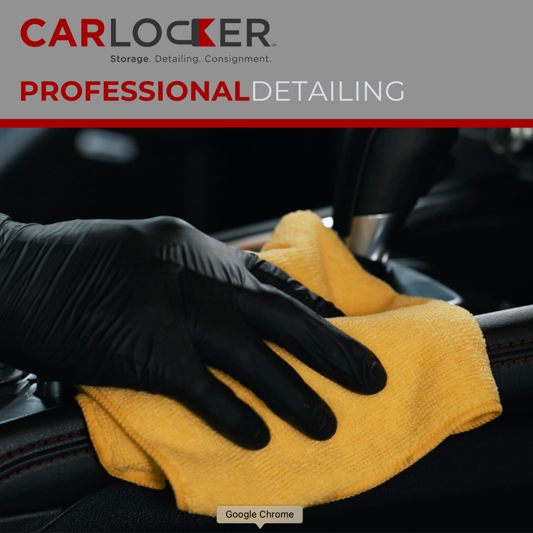 Professional Vehicle Detailing St. Petersburg GL
