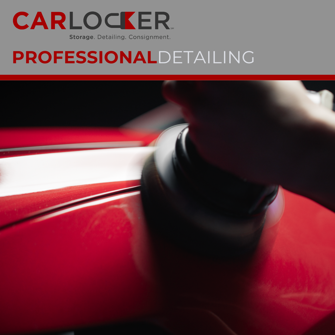 Professional Vehicle Detailing St. Petersburg FL